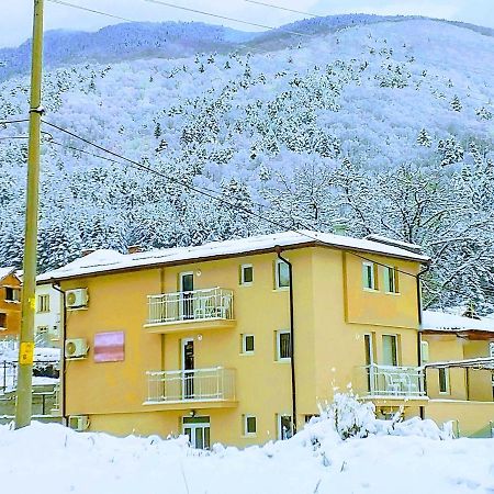 Guest House Tedi Szapareva Banja Kültér fotó