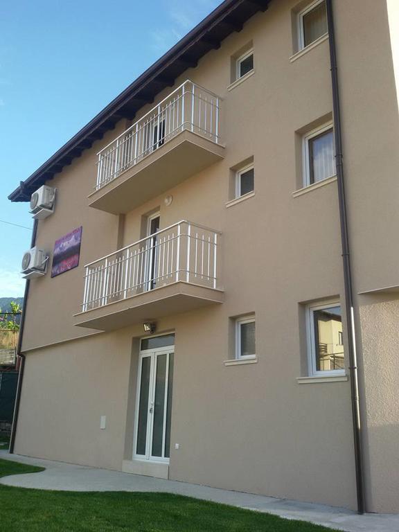 Guest House Tedi Szapareva Banja Kültér fotó