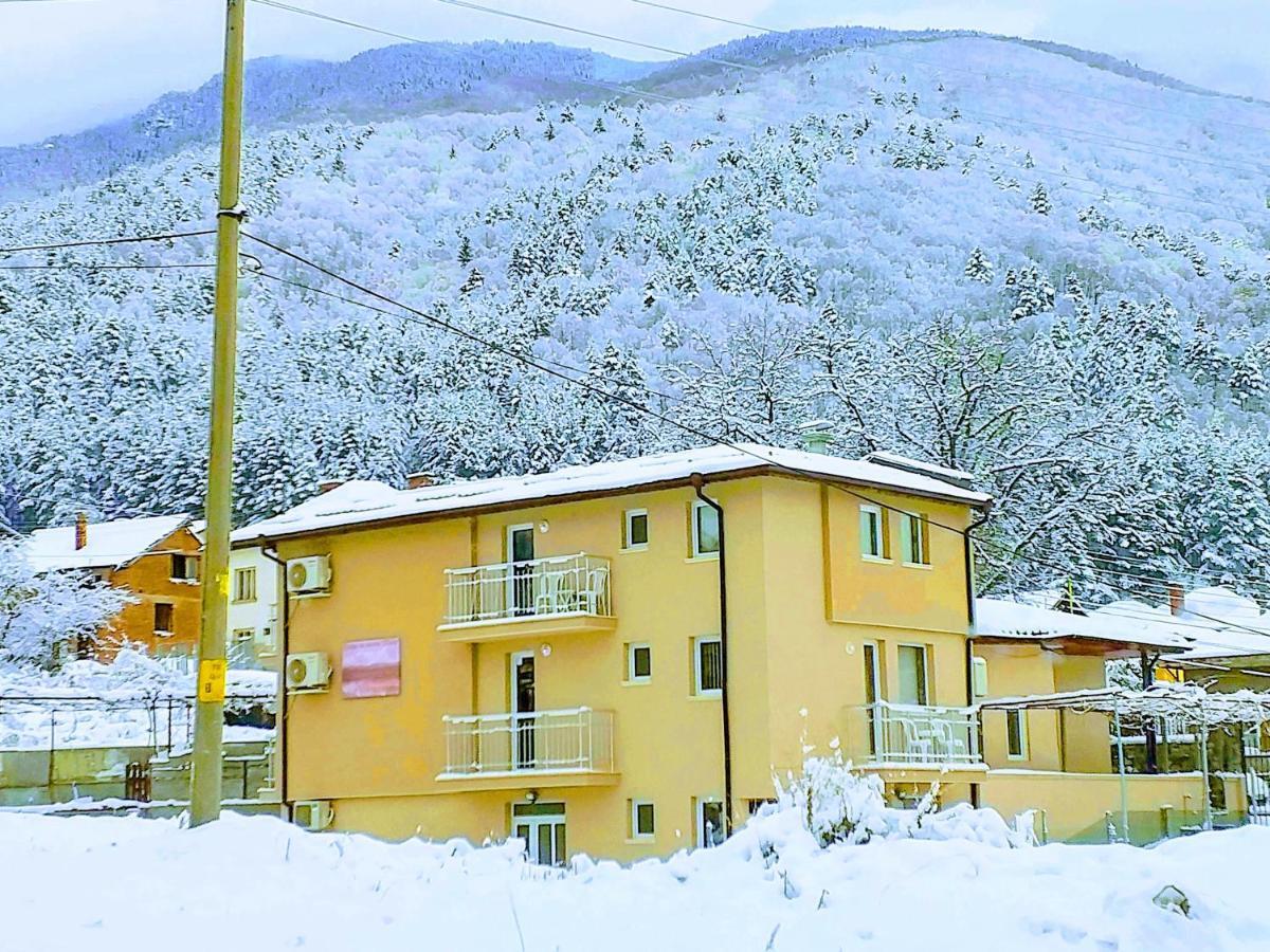 Guest House Tedi Szapareva Banja Kültér fotó