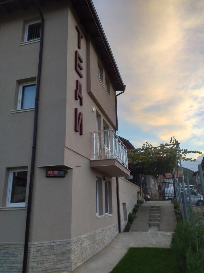 Guest House Tedi Szapareva Banja Kültér fotó