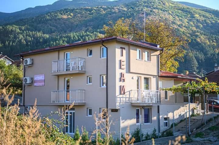Guest House Tedi Szapareva Banja Kültér fotó