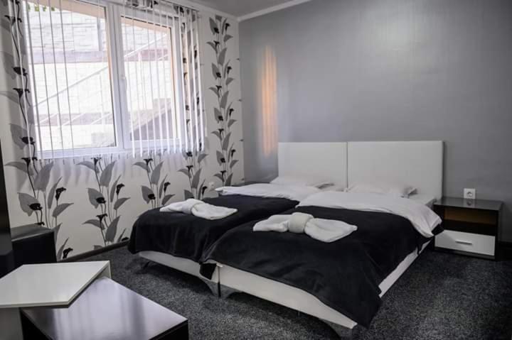 Guest House Tedi Szapareva Banja Kültér fotó