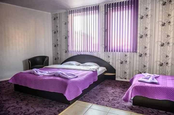 Guest House Tedi Szapareva Banja Kültér fotó